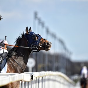 Newcastle | All-Weather Championships | 29/3/24