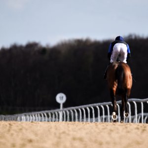 Newcastle | All-Weather Championships | 29/3/24