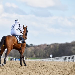 Newcastle | All-Weather Championships | 29/3/24