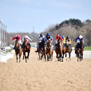 Newcastle | All-Weather Championships | 29/3/24