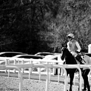 Newcastle | All-Weather Championships | 29/3/24