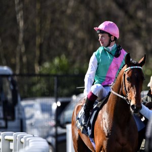 Newcastle | All-Weather Championships | 29/3/24