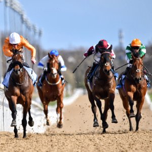 Newcastle | All-Weather Championships | 29/3/24