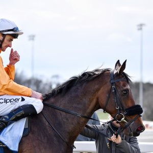 Newcastle | All-Weather Championships | 29/3/24