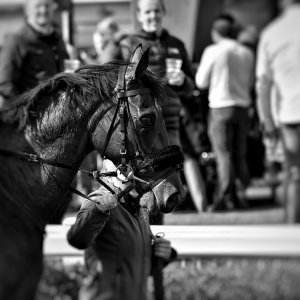 Newcastle | All-Weather Championships | 29/3/24