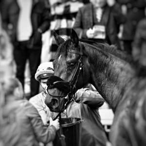 Newcastle | All-Weather Championships | 29/3/24