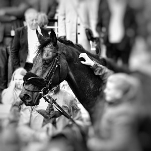 Newcastle | All-Weather Championships | 29/3/24