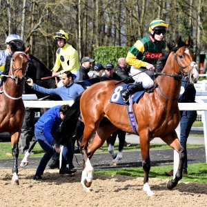 Newcastle | All-Weather Championships | 29/3/24