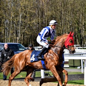 Newcastle | All-Weather Championships | 29/3/24