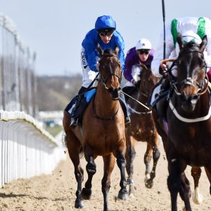 Newcastle | All-Weather Championships | 29/3/24