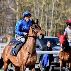 Newcastle | All-Weather Championships | 29/3/24