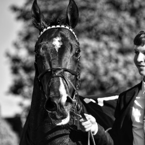 Redcar | 2 YO Trophy | 1/10/22