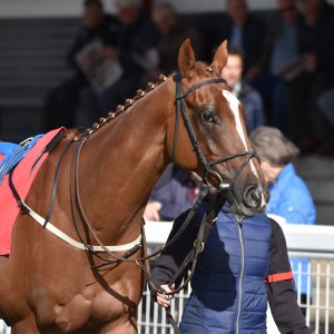 Redcar | 2 YO Trophy | 1/10/22