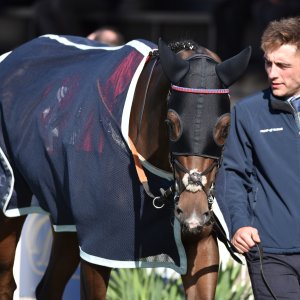 Redcar | 2 YO Trophy | 1/10/22