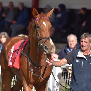 Redcar | 2 YO Trophy | 1/10/22