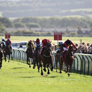 Redcar | 2 YO Trophy | 1/10/22