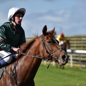 Redcar | 2 YO Trophy | 1/10/22