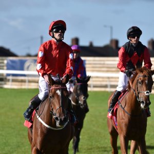 Redcar | 2 YO Trophy | 1/10/22