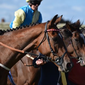 Redcar | 2 YO Trophy | 1/10/22