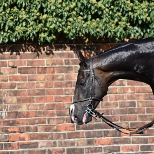 Redcar | 2 YO Trophy | 1/10/22