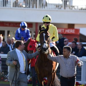 Redcar | 2 YO Trophy | 1/10/22