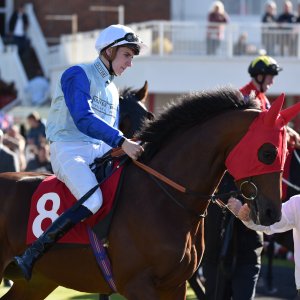 Redcar | 2 YO Trophy | 1/10/22