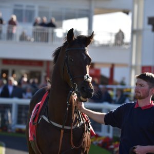 Redcar | 2 YO Trophy | 1/10/22