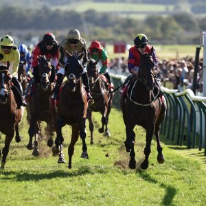 Redcar | 2 YO Trophy | 1/10/22