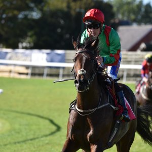 Redcar | 2 YO Trophy | 1/10/22