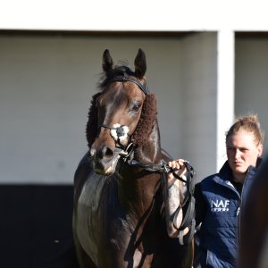 Redcar | 2 YO Trophy | 1/10/22