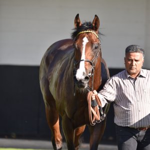 Redcar | 2 YO Trophy | 1/10/22