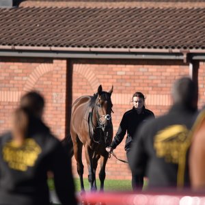 Redcar | 2 YO Trophy | 1/10/22