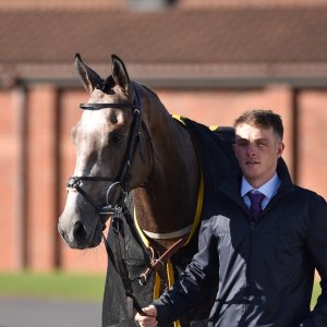 Redcar | 2 YO Trophy | 1/10/22