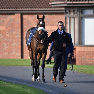 Redcar | 2 YO Trophy | 1/10/22