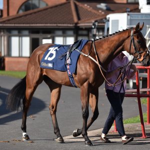 Redcar | 2 YO Trophy | 1/10/22