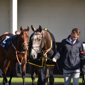 Redcar | 2 YO Trophy | 1/10/22