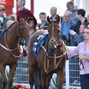 Redcar | 2 YO Trophy | 1/10/22