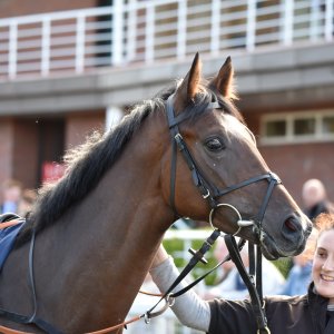 Redcar | 2 YO Trophy | 1/10/22