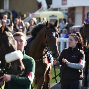 Redcar | 2 YO Trophy | 1/10/22