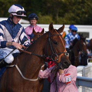 Redcar | 2 YO Trophy | 1/10/22