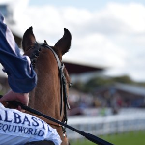 Redcar | 2 YO Trophy | 1/10/22