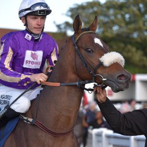 Redcar | 2 YO Trophy | 1/10/22