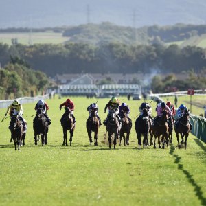 Redcar | 2 YO Trophy | 1/10/22