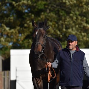 Redcar | 2 YO Trophy | 1/10/22