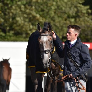 Redcar | 2 YO Trophy | 1/10/22