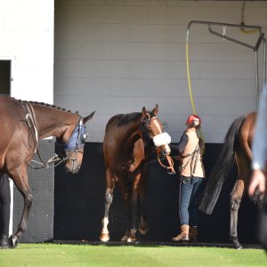Redcar | 2 YO Trophy | 1/10/22