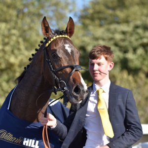 Redcar | 2 YO Trophy | 1/10/22