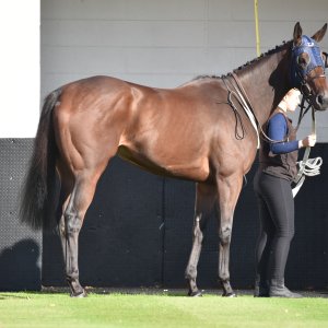 Redcar | 2 YO Trophy | 1/10/22