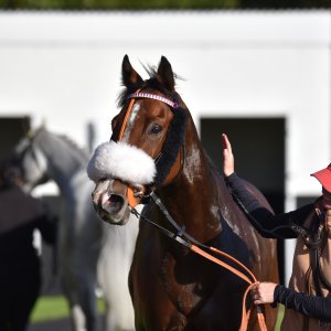 Redcar | 2 YO Trophy | 1/10/22