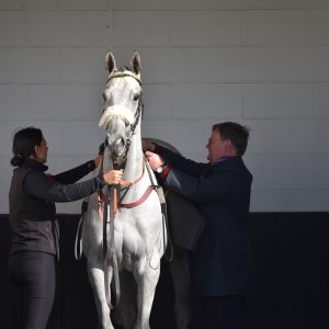 Redcar | 2 YO Trophy | 1/10/22